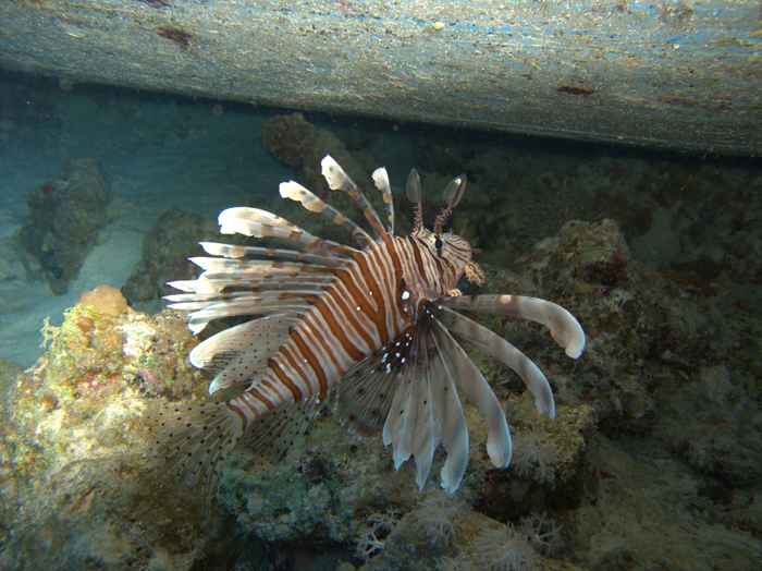 Hurghada