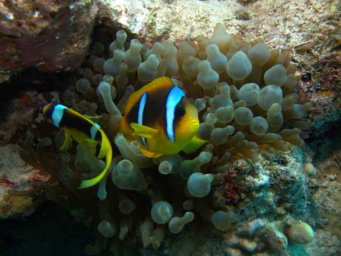 St John's Reefs